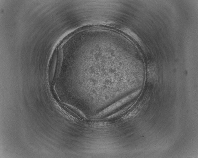 X0000074041020200609111734