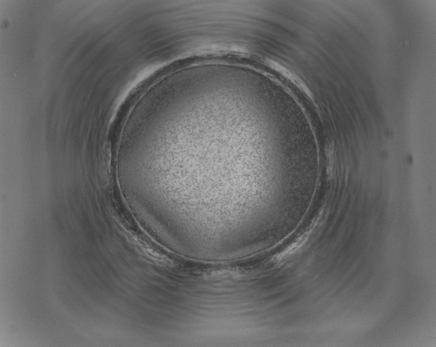 X0000074041021200609111734