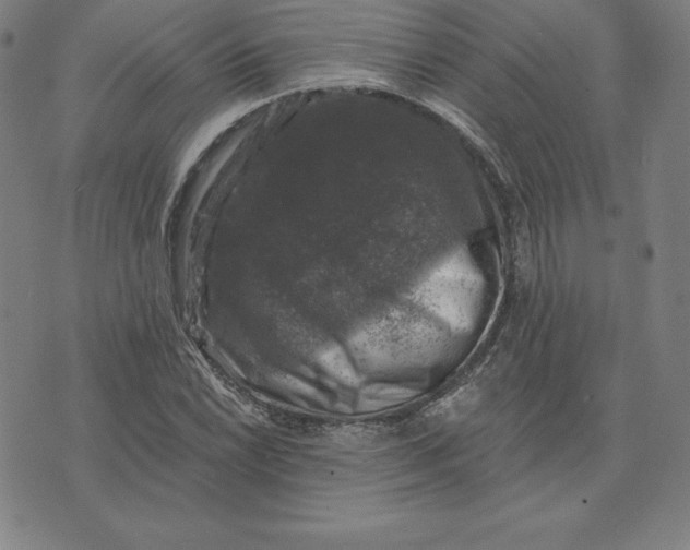 X0000074041022200609111734