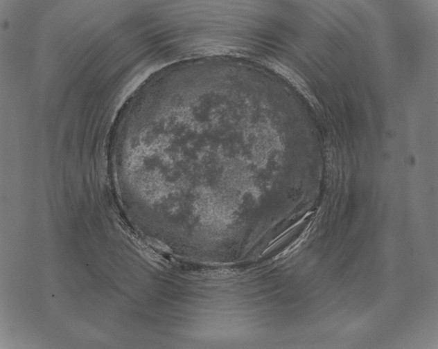 X0000074041023200609111734