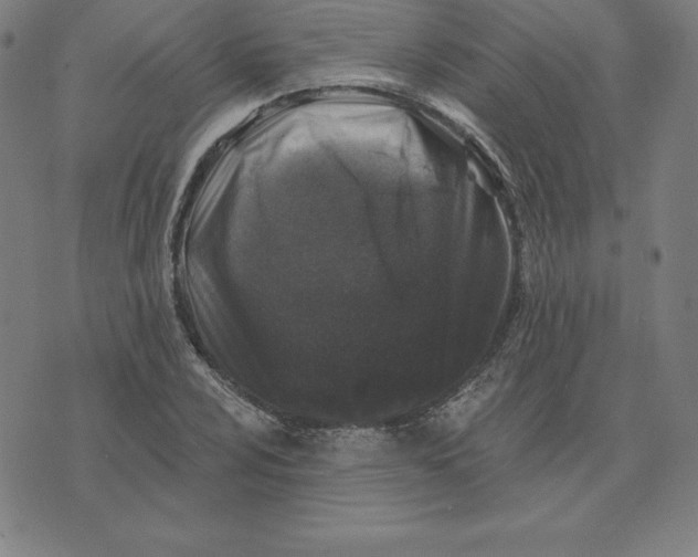 X0000074041024200609111734