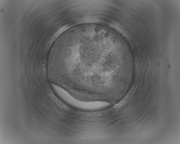 X0000074041025200609111734