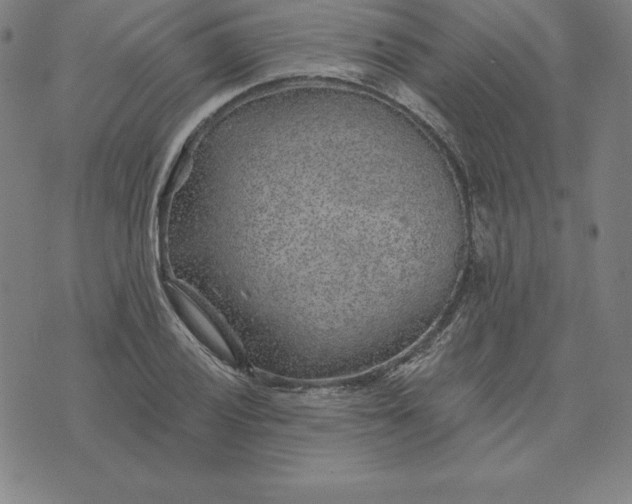 X0000074041028200609111734