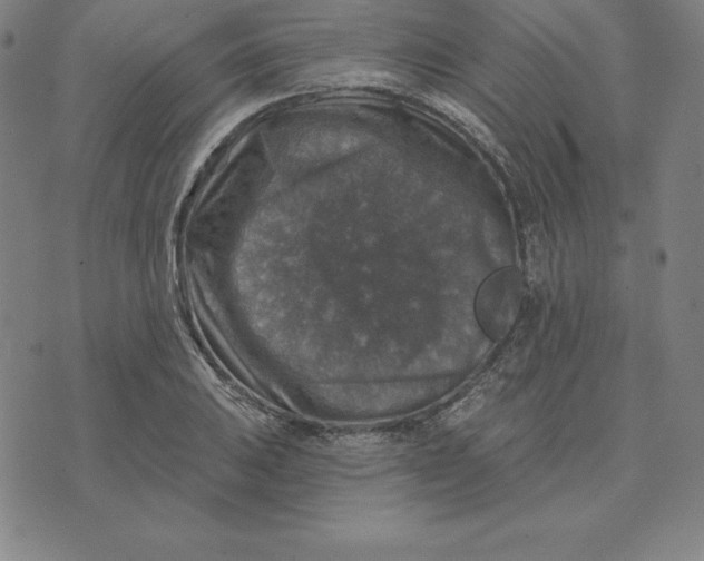 X0000074041031200609111734