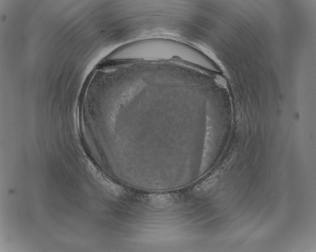 X0000074041032200609111734