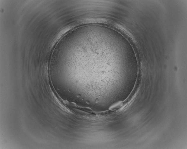 X0000074041033200609111734