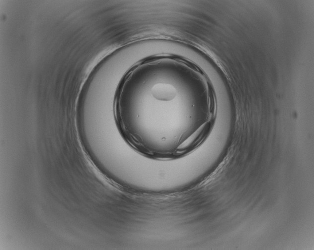 X0000074041034200609111734