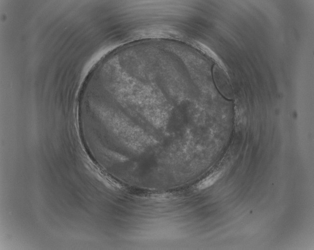 X0000074041035200609111734