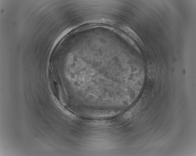 X0000074041036200609111734