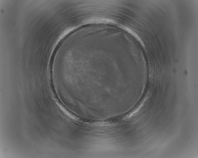 X0000074041037200609111734