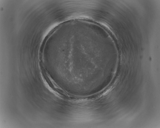 X0000074041038200609111734