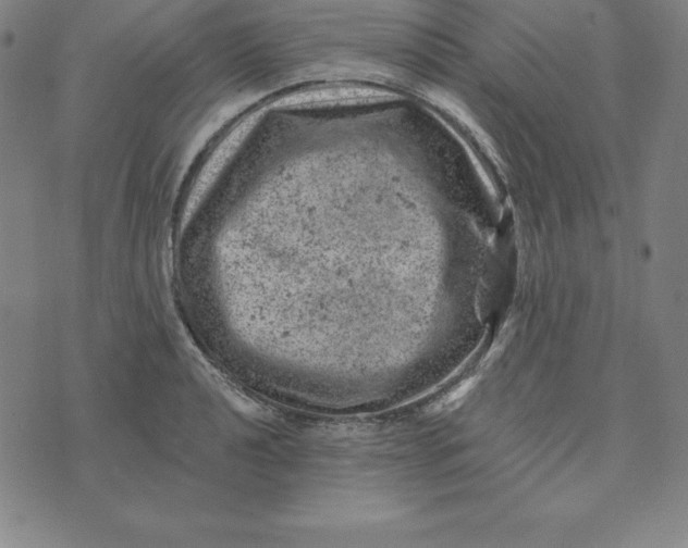 X0000074041040200609111734