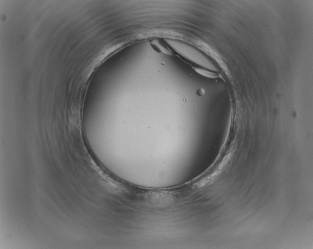 X0000074041041200609111734