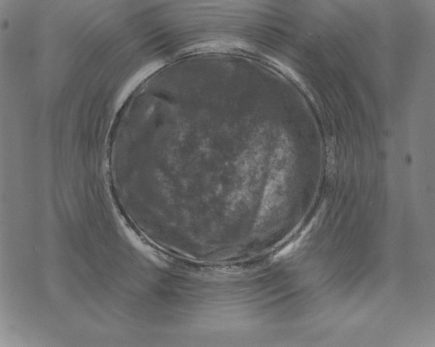 X0000074041042200609111734