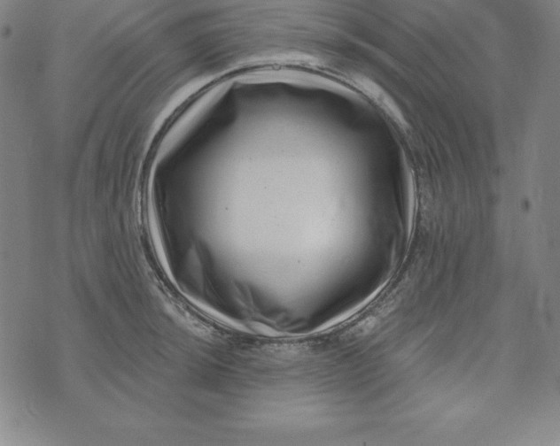 X0000074041044200609111734