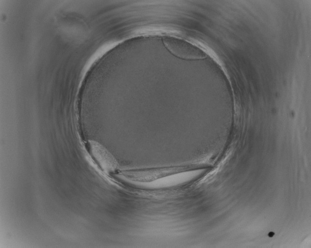 X0000074041045200609111734