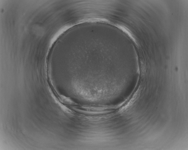 X0000074041046200609111734