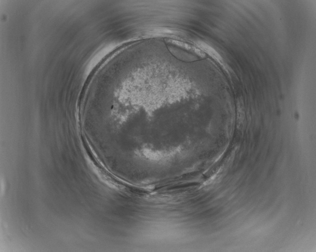 X0000074041047200609111734