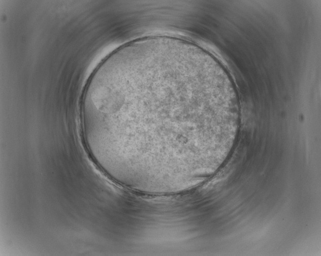 X0000074041048200609111734