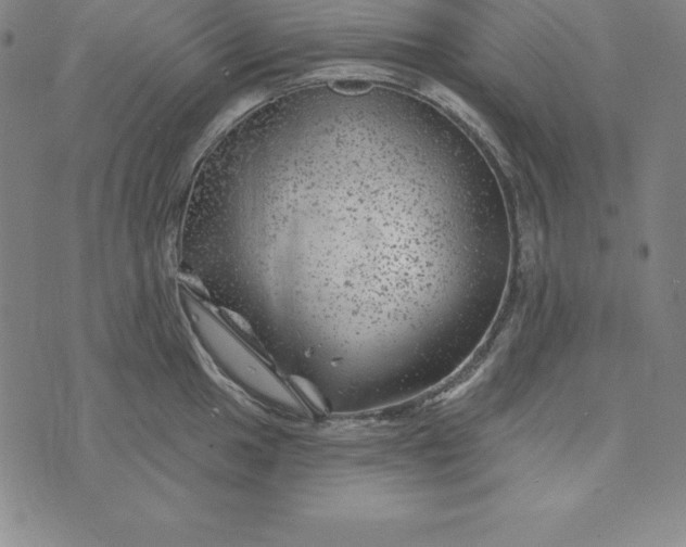 X0000074041049200609111734