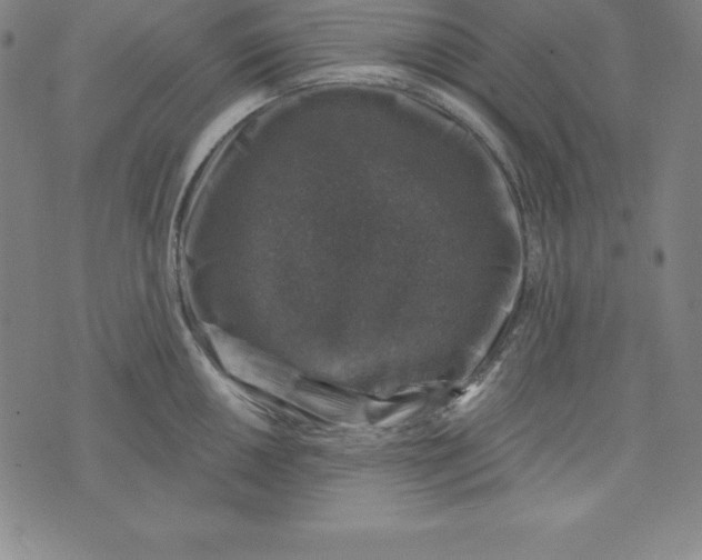 X0000074041050200609111734