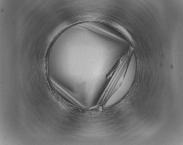 X0000074041051200609111734