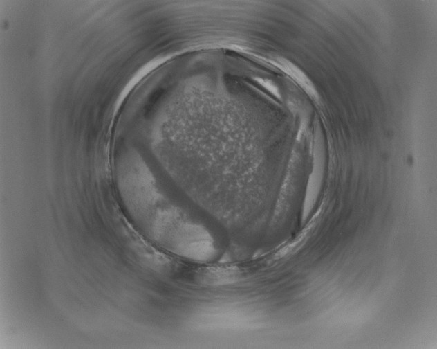 X0000074041052200609111734