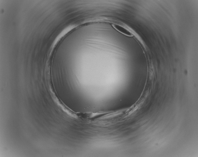 X0000074041053200609111734