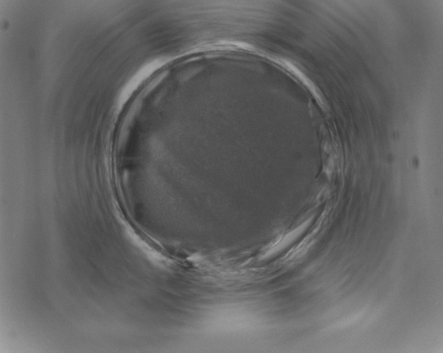 X0000074041054200609111734