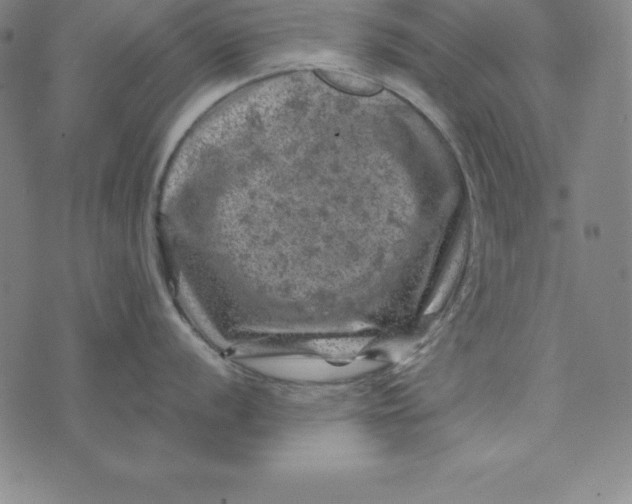 X0000074041056200609111734