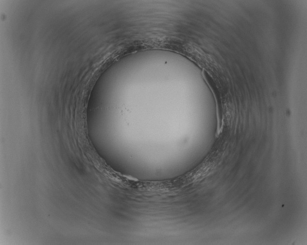 X0000074041057200609111733