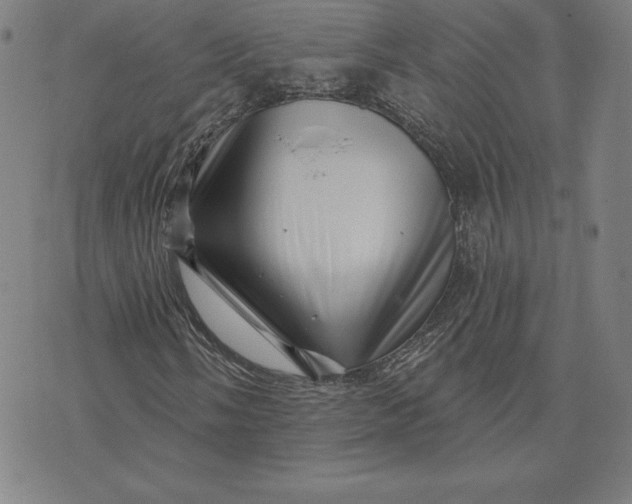 X0000074041058200609111733