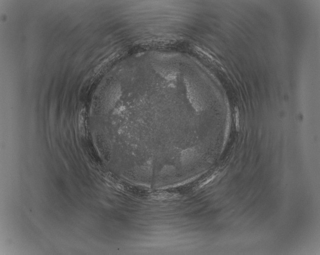 X0000074041059200609111733