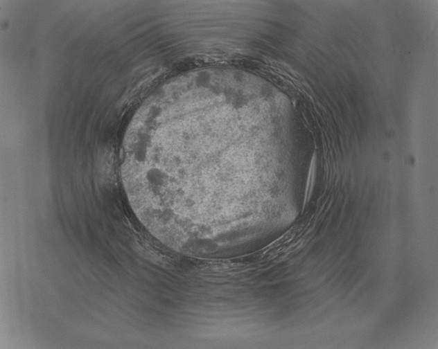 X0000074041060200609111733