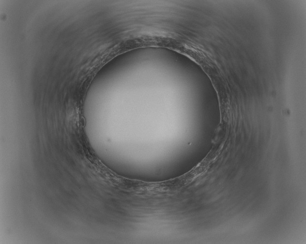 X0000074041061200609111733