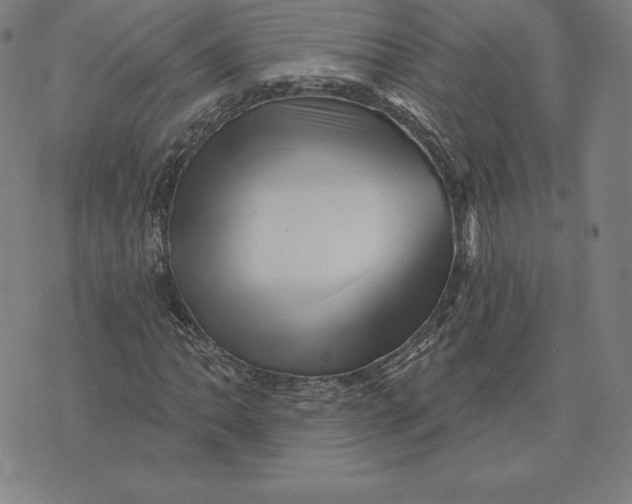 X0000074041062200609111733