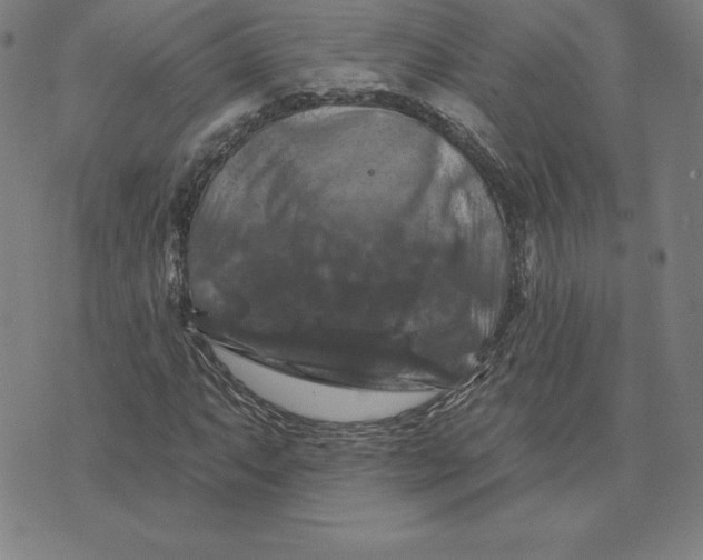 X0000074041063200609111733