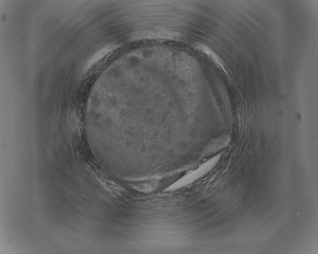 X0000074041064200609111733