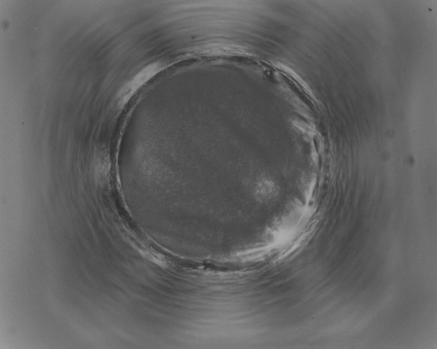 X0000074041065200609111733