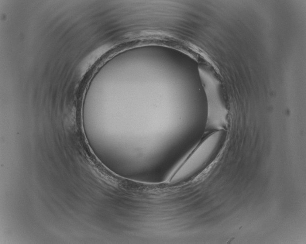 X0000074041066200609111733