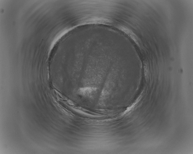 X0000074041069200609111733