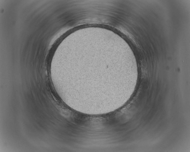 X0000074041070200609111733