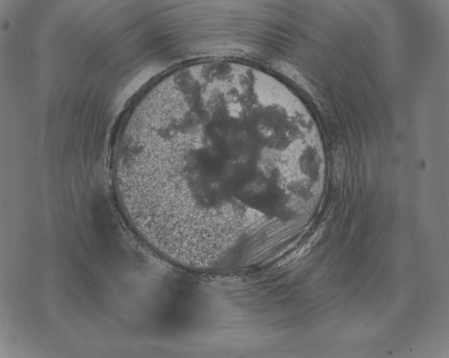 X0000074041071200609111733