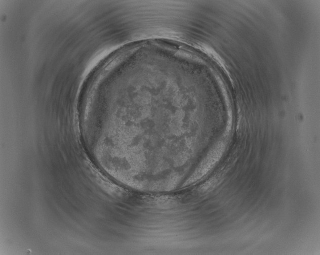 X0000074041072200609111733