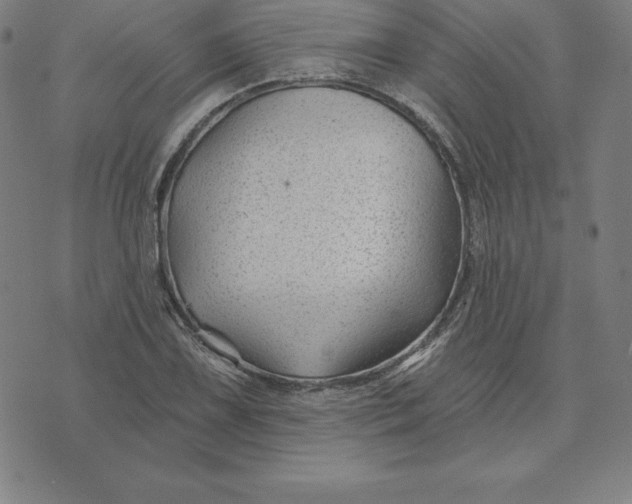 X0000074041075200609111733