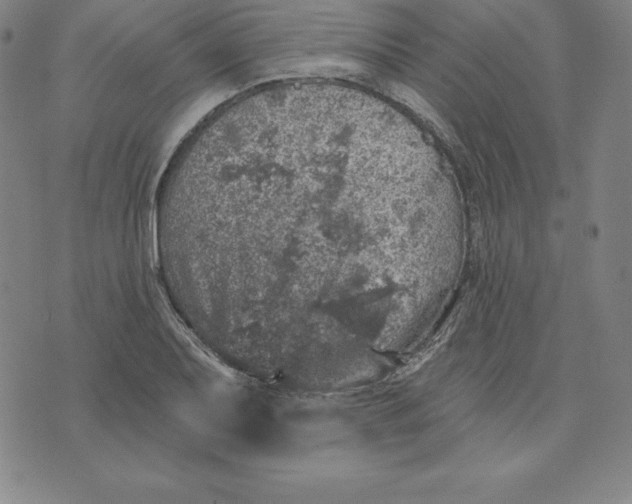 X0000074041079200609111733