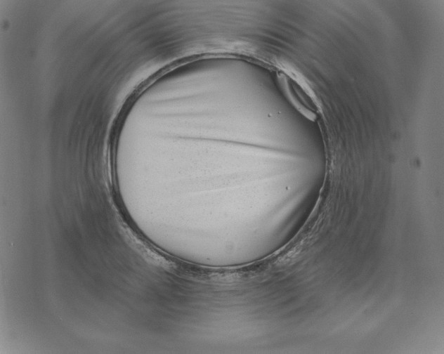 X0000074041080200609111733