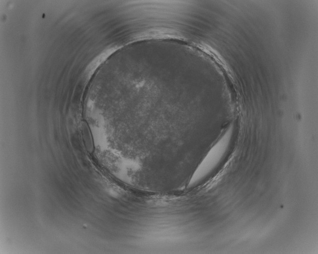 X0000074041081200609111733