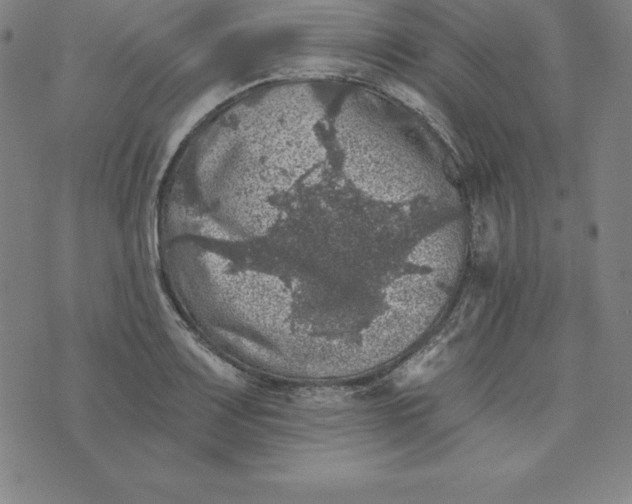 X0000074041083200609111733