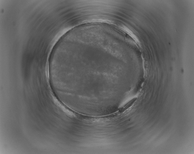 X0000074041084200609111733